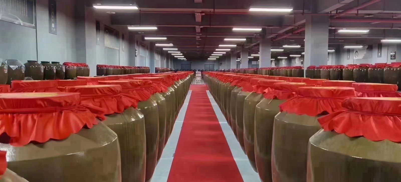 封坛库区 · 两排红盖陶坛沿红毯向纵深延伸