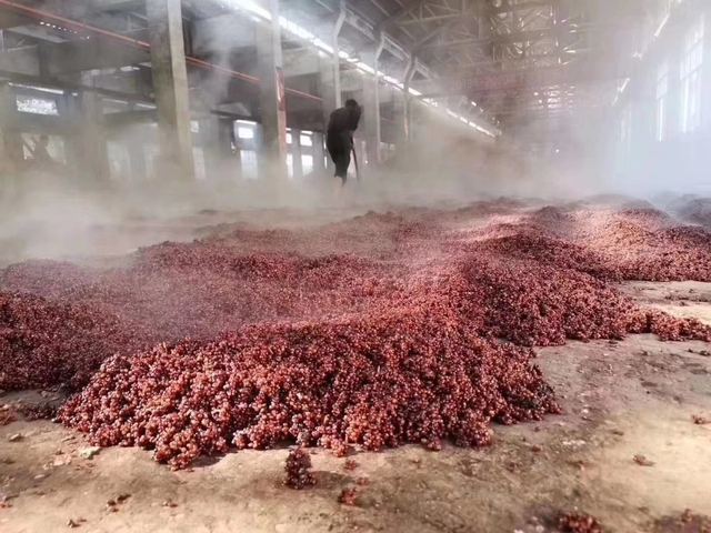 摊晾成垄 · 蒸汽未散
