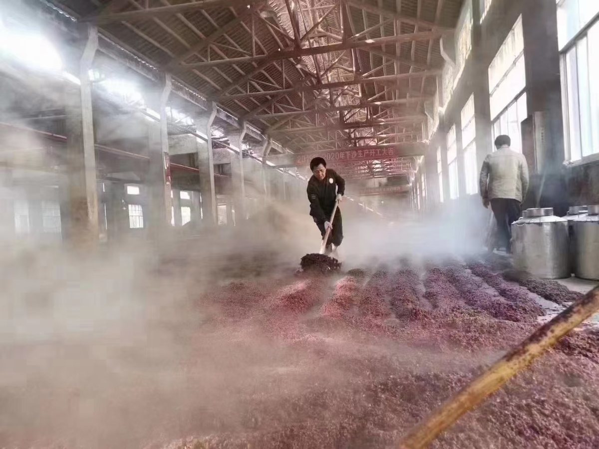 酿造车间 · 蒸汽弥漫的摊晾场